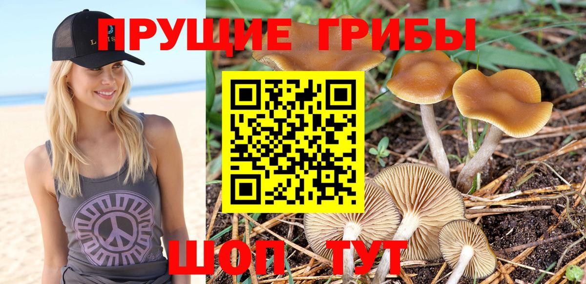 Галлюциногенные грибы мицелий  Вход с VPN  Заволжье 